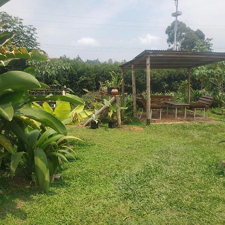 Gaia Eco Hub Bnb Fort Portal Bagian luar foto