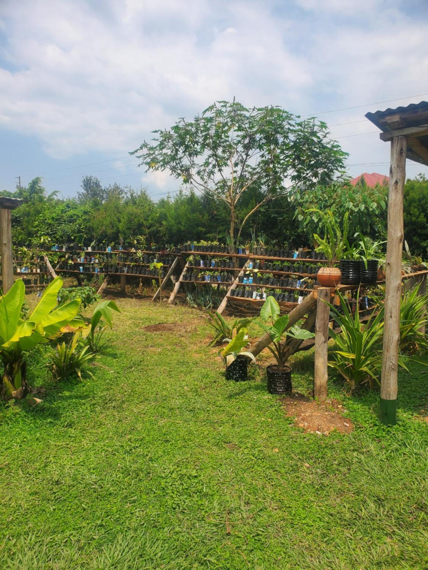Gaia Eco Hub Bnb Fort Portal Bagian luar foto