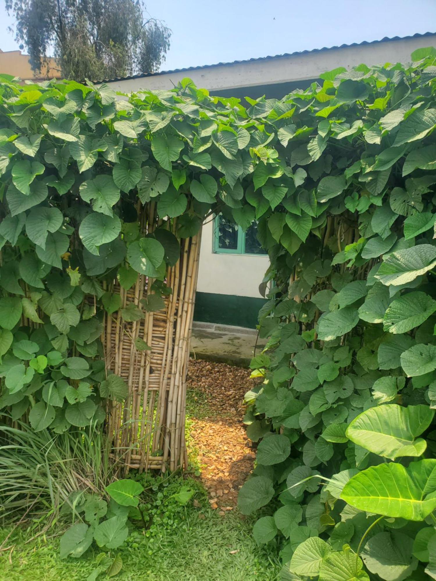 Gaia Eco Hub Bnb Fort Portal Bagian luar foto