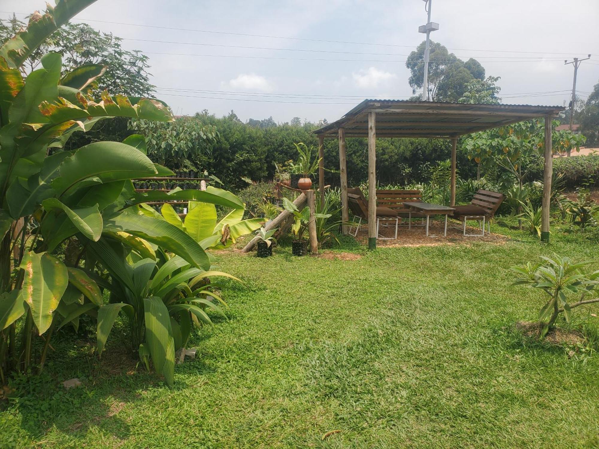 Gaia Eco Hub Bnb Fort Portal Bagian luar foto