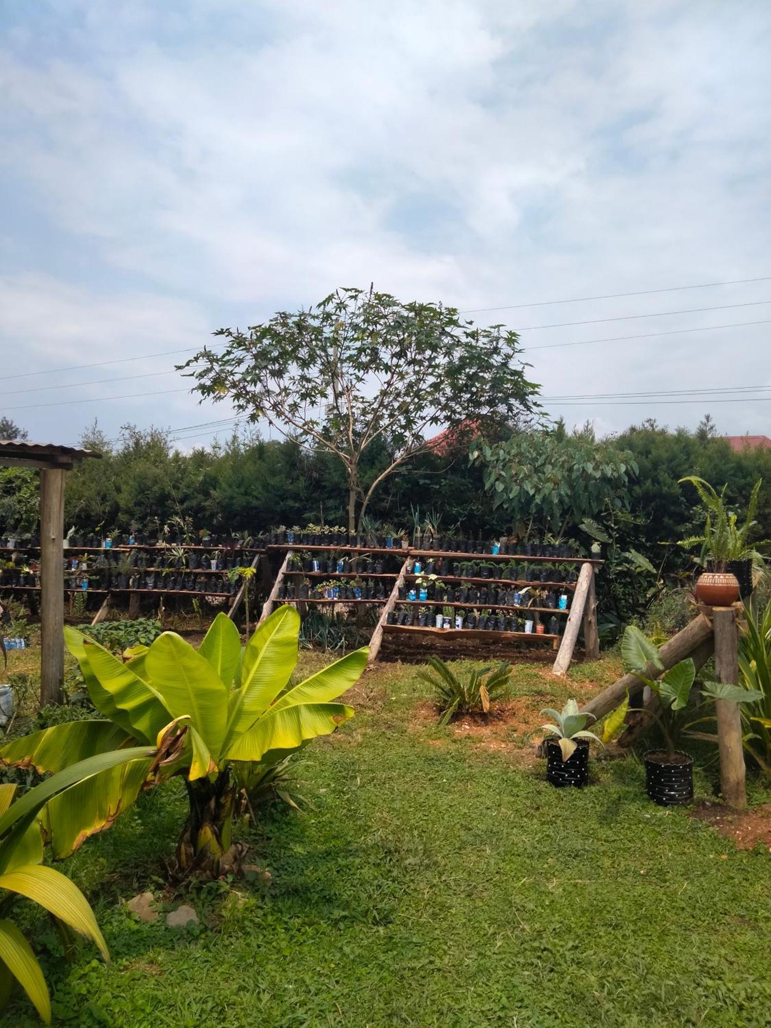 Gaia Eco Hub Bnb Fort Portal Bagian luar foto