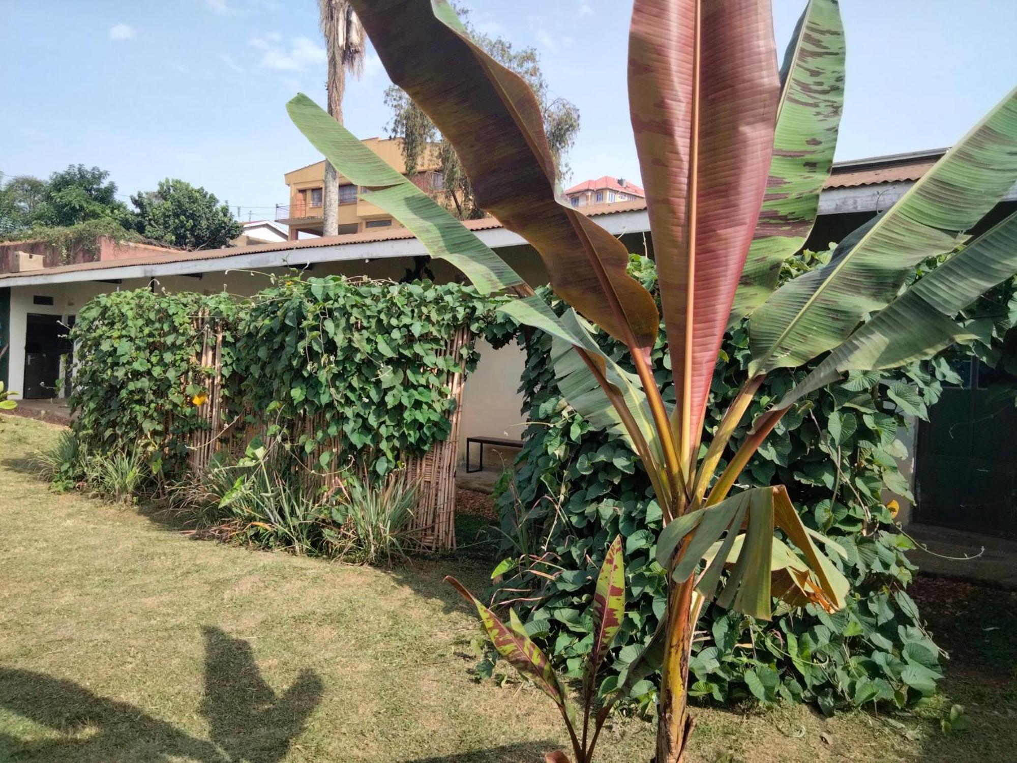 Gaia Eco Hub Bnb Fort Portal Bagian luar foto