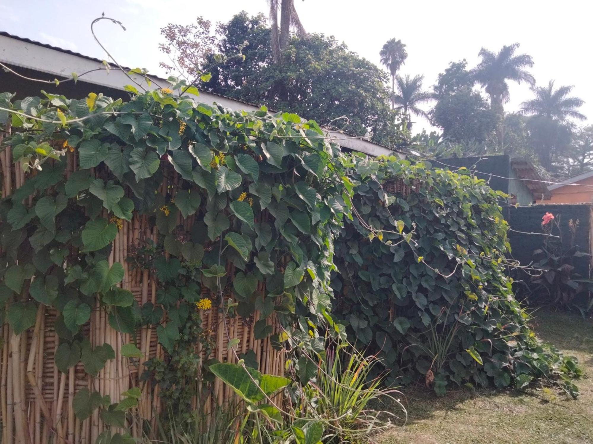 Gaia Eco Hub Bnb Fort Portal Bagian luar foto
